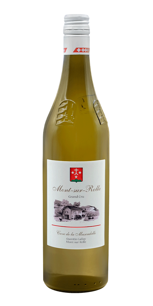 Cave La Muscadelle - Chasselas Mont-sur-Rolle