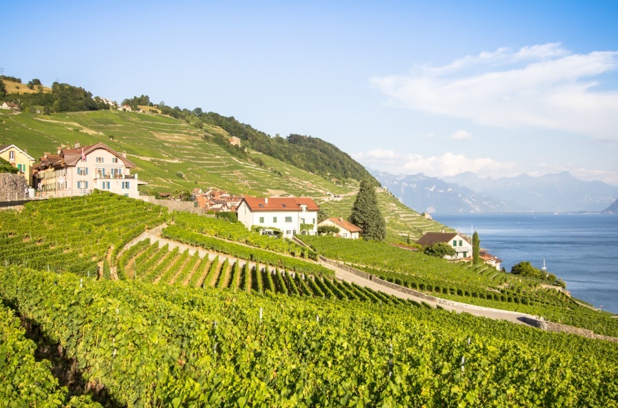 Famille Fonjallaz & Cie