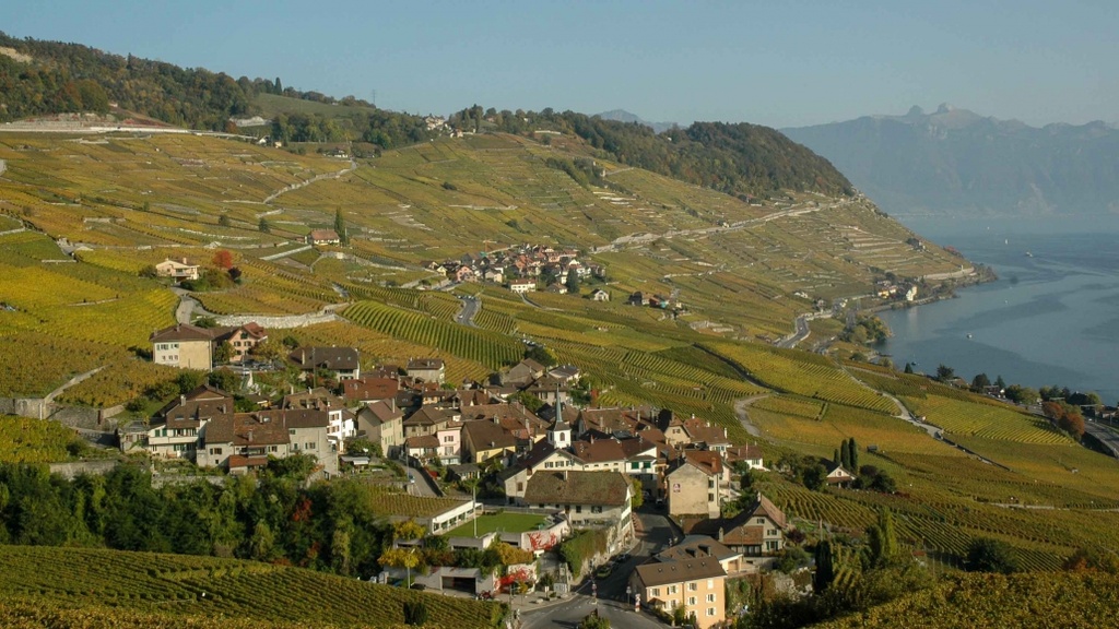 Famille Alexandre Duboux