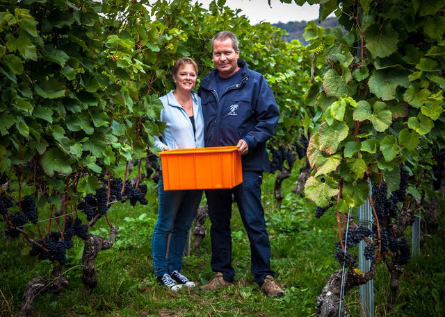 Domaine le Portillon