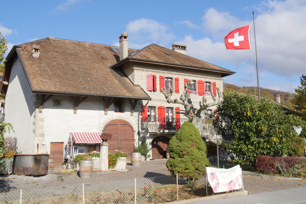 Domaine Maison Dutruy