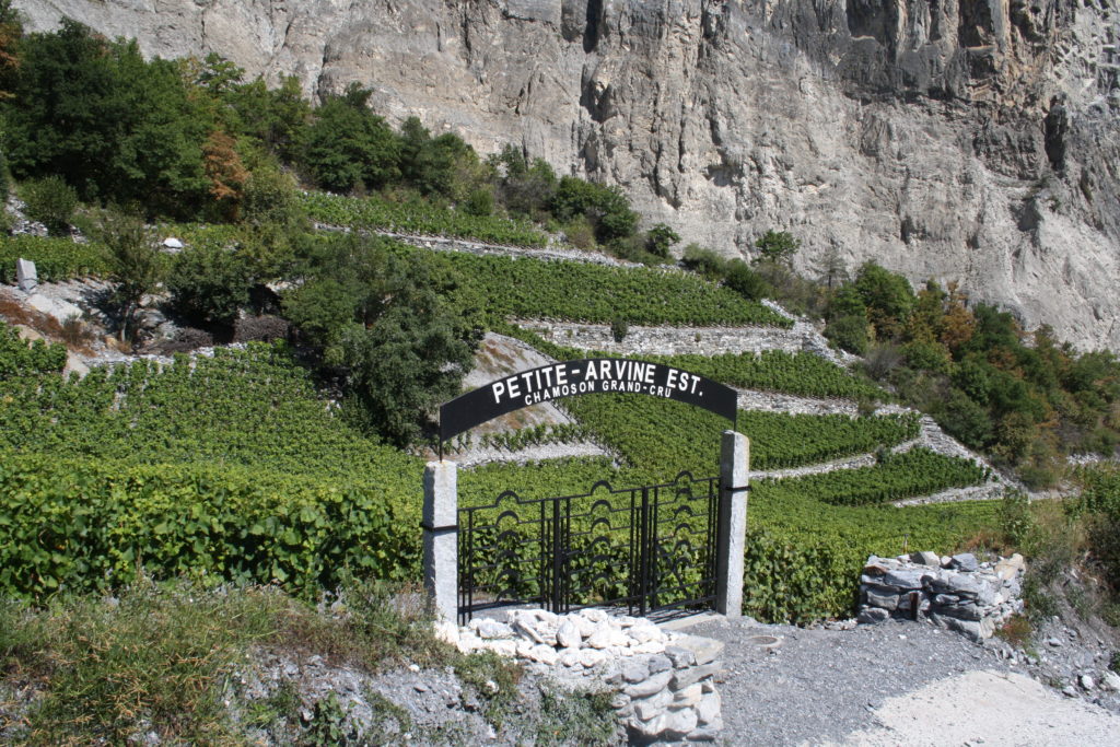 Les Fils de René Favre